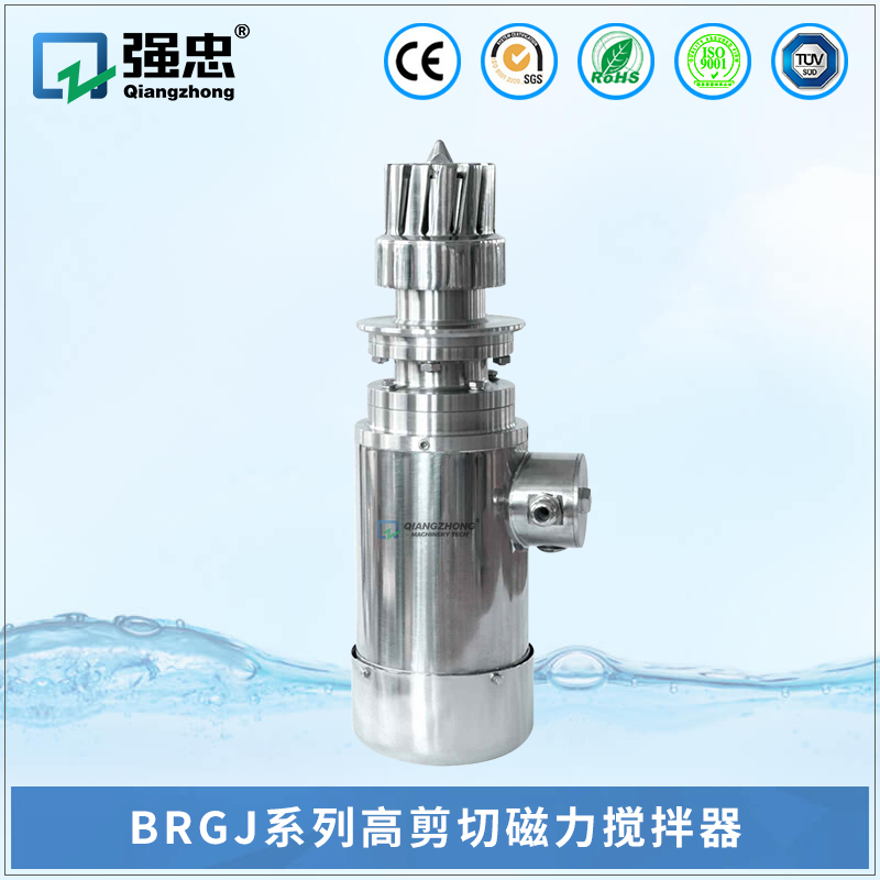 BRGJ奇异果体育官方网站高剪切磁力搅拌器